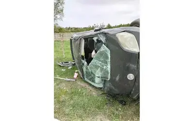 Hafif ticari araç büyükbaş hayvanlara çarptı: 1 yaralı, 2 hayvan telef oldu
