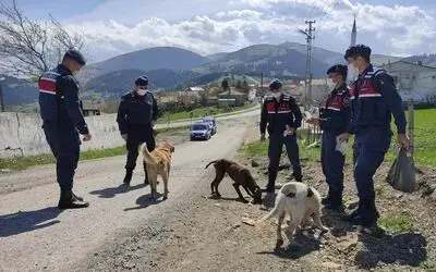 Aç kalan sokak hayvanlarını jandarma besliyor
