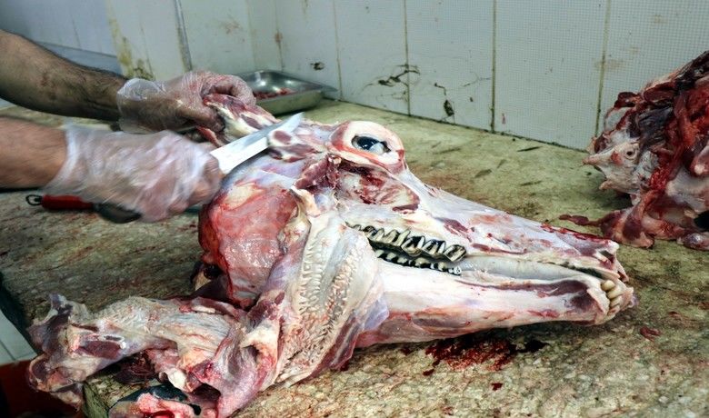 Kasaplardan ‘kelle eti’ önerisi Samsun BAFRA'NIN