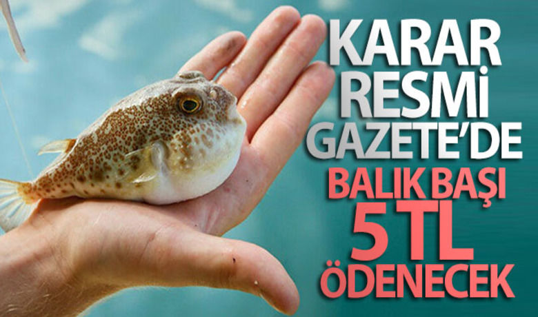Balon balığı avcılığının desteklenmesineilişkin karar Resmi Gazetede yayımlandı - Sucul istilacı ve yabancı türlerle mücadele kapsamında balon balığı avcılığının desteklenmesine ilişkin karar Resmi Gazetede yayımlanarak yürürlüğe girdi.	5 milyon TL destekleme ödemesi yapılacak