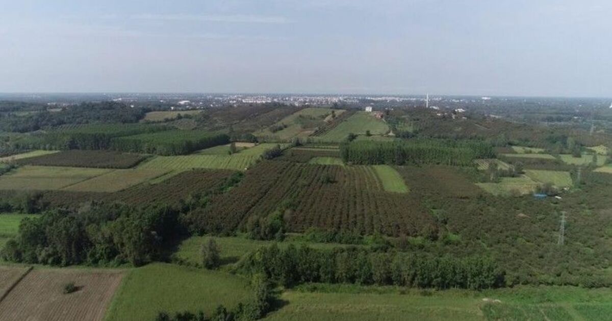 Samsun’da üreticilere 86,1 milyon TL destek
