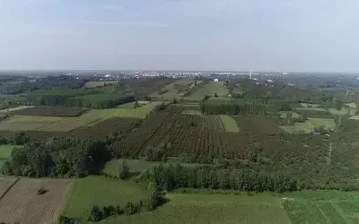 Samsun’da üreticilere 86,1 milyon TL destek

