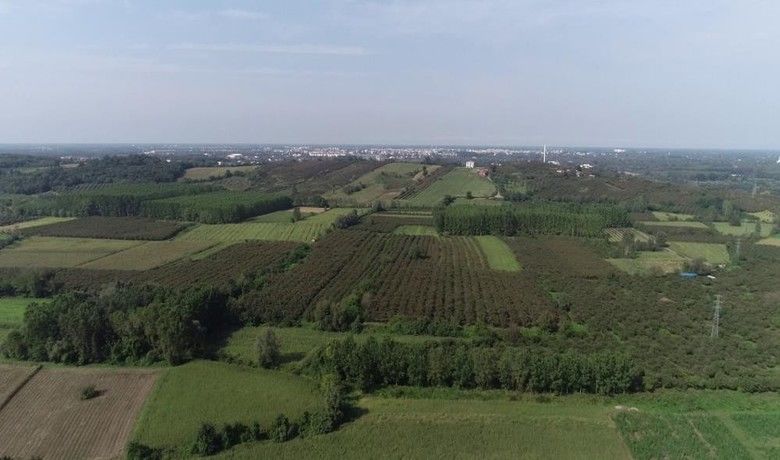 Samsun’da üreticilere 86,1 milyon TL destek
 - Samsun Valisi Doç. Dr. Zülkif Dağlı, Samsun’da toplam 35 bin 936 üreticiye 86 milyon 155 bin TL’lik destek ödemesinin bugün itibarıyla başlayacağını açıkladı.