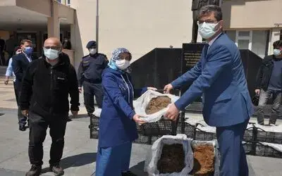 Çiftçilere 60 bin çilek fidesi dağıtıldı