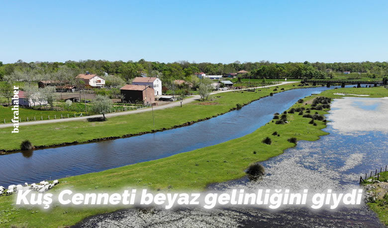 Kuş Cenneti beyaz gelinliğini giydi