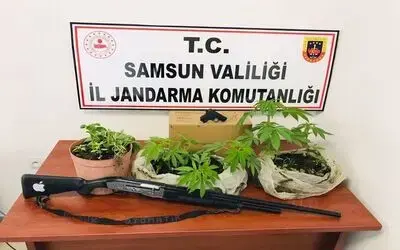 Jandarmadan ‘kenevir’ baskını
