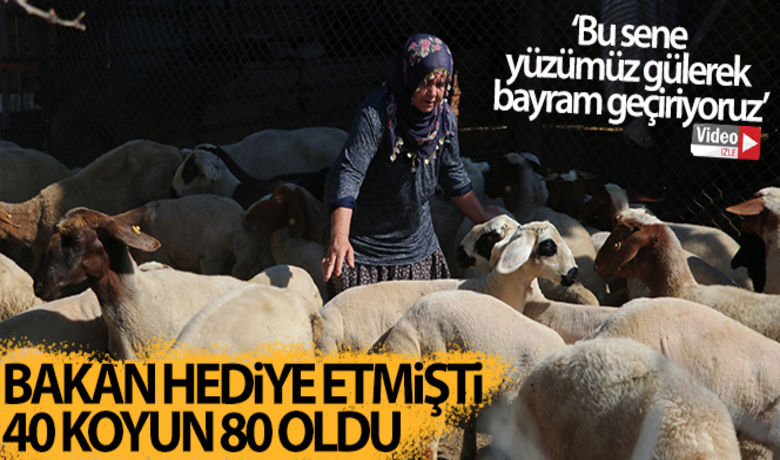Bakanın hediye ettiği 40 koyun 80'e çıktı - Adana’da çalınan 40 koyununun yerine devlet tarafından 40 koyun hediye edilen Ayşe Akgül, "Devlet sayesinde Ramazan Bayramı’nda yüzüm güldü. 40 koyun 80 koyuna çıktı. Bunlar olmasaydı ben ayakta zor dururdum, yıkılırdım. Bu sene yüzümüz gülerek bir bayram geçiriyoruz" dedi.