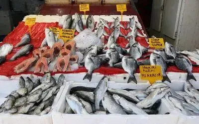 Balık satışları azaldı fiyatlar düştü
