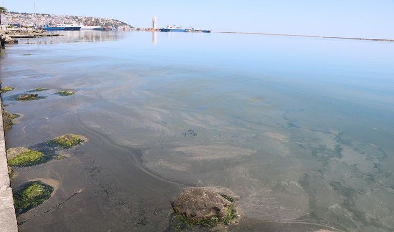 Samsun Limanı’ndaki kirlilik büyüyor
 - Samsun Limanı’nda endüstriyel atıklar sonucunda mikroorganizmaların aşırı derecede üremesiyle oluşan ‘deniz salyası’ benzeri tabaka büyüyor. Uzmanlar oluşan tabakanın toksik olabileceğini belirterek, deniz canlılarının ve ondan beslenen insanların zarar görebileceğini söyledi.