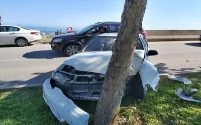 Samsun’da otomobil ağaca çarptı: 1 yaralı
