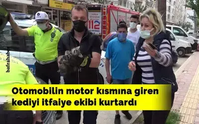 Otomobilin motor kısmına giren kediyi itfaiye ekibi kurtardı