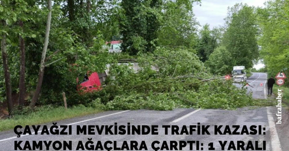 Çayağzı mevkisinde trafik kazası: Kamyon ağaçlara çarptı