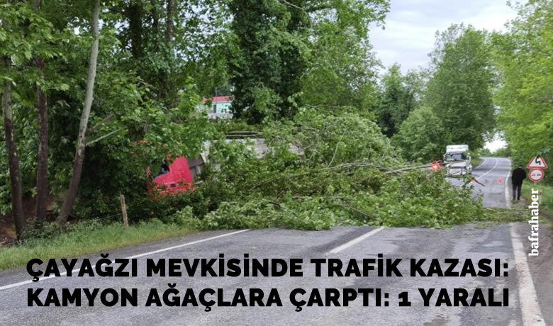 Kamyon ağaçlara çarptı: 1 yaralı