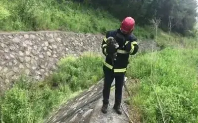 Dereye düşen yavru köpek kurtarıldı
