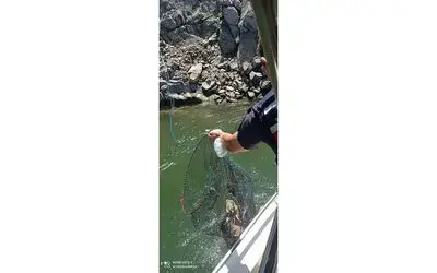 Ayvacık’ta su ürünleri denetimleri
