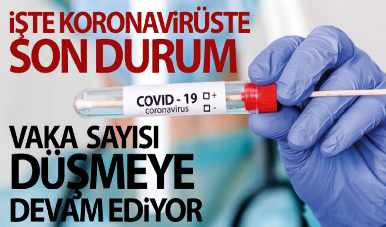 Türkiye'de son 24 saatte6.493 koronavirüs vakası tespit edildi - Türkiye'de son 24 saatte 6.493 koronavirüs vakası tespit edildi. 122 kişi hayatını kaybetti.