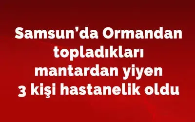 Ormandan topladıkları mantardan yiyen 3 kişi hastanelik oldu