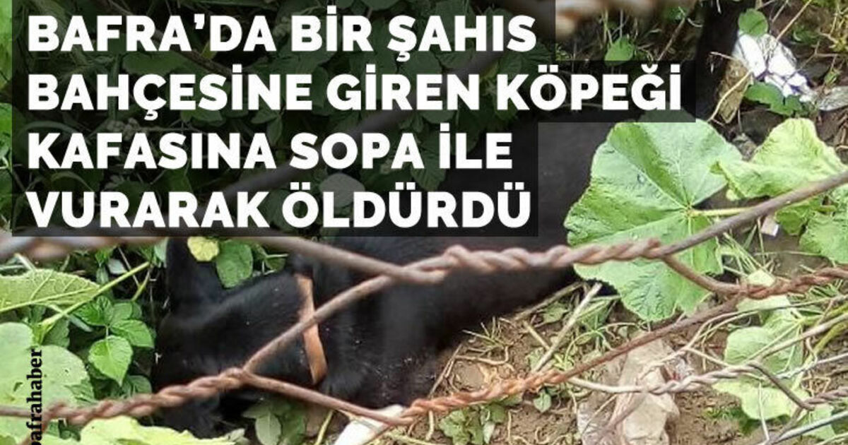 Bahçesine giren köpeği öldürdü