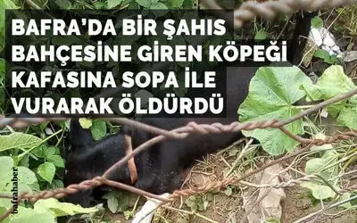 Bahçesine giren köpeği öldürdü