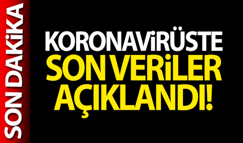 Türkiye'de son 24 saatte6.602 koronavirüs vakası tespit edildi - Türkiye'de son 24 saatte 6.602 koronavirüs vakası tespit edildi. 114 kişi hayatını kaybetti.