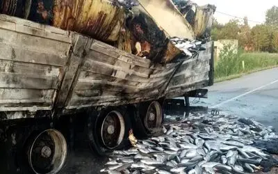 Alaçam Yolunda Balık Yüklü Tırın Çekicisinde Yangın 