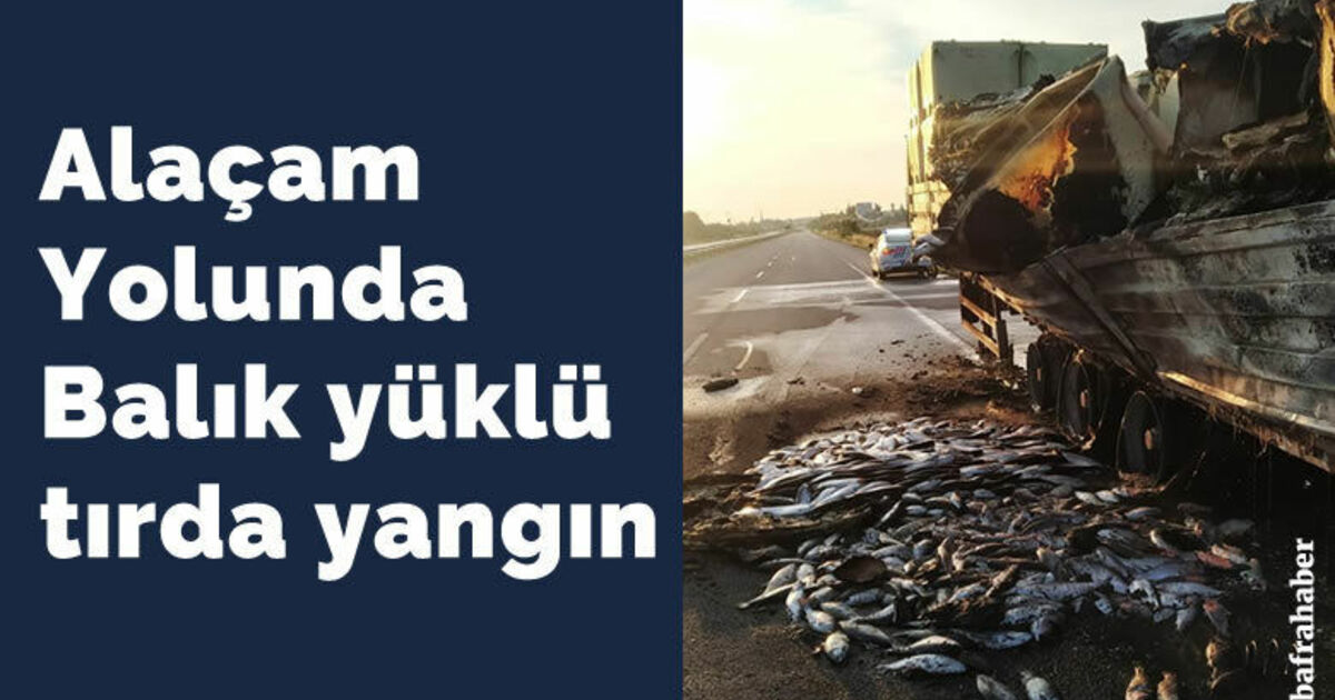 Alaçam Yolunda Balık yüklü tırda yangın
