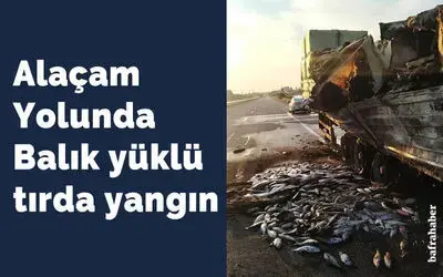 Alaçam Yolunda Balık yüklü tırda yangın