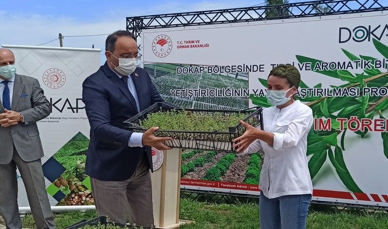 Kekik Fide Dağıtım ve Dikimi Tarla Günü - Samsun’un Bafra ilçesinde "Bitki Aromatik Yaygınlaştırma Projesi" kapsamında “Kekik Fide Dağıtım ve Dikimi Tarla Günü” düzenlendi.