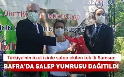 Türkiye’de tek özel izinle ekilen il olan Samsun’da üreticilere salep yumrusu dağıtıldı