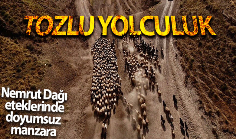 Nemrut Dağı eteklerine tozlu yolculuk - Bitlis'in Tatvan ilçesine bağlı Kıyıdüzü köyünde binlerce küçükbaş hayvan, her gün oluşan toz bulutu içerisinde yaptığı 15 kilometrelik zorlu yolculuk seyrine doyumsuz bir manzara oluşturuyor. 	 	Haberin videsonu izlemek için tıklayınız	Recep Gökhan Kılıç