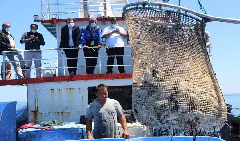 Yakakent'te Türk somonu’ hasadı - Samsun’un Yakakent ilçesinde denizlerde yüzer ağ kafeslerde yetiştirilen "Türk somonu" hasadının sonuna gelindi.