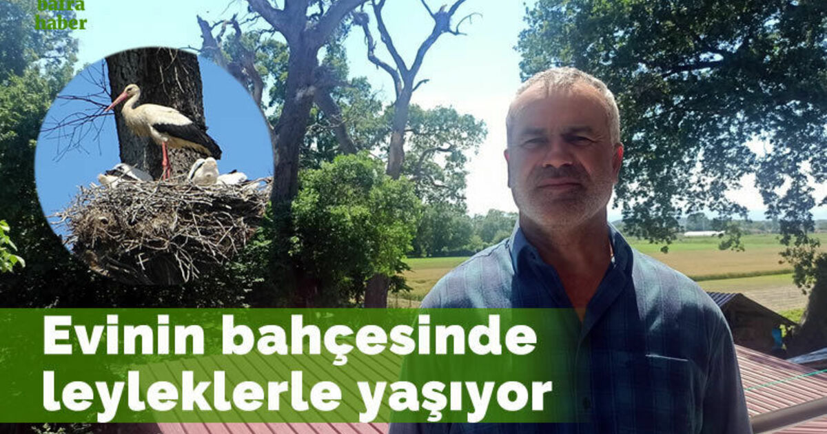 Evinin bahçesinde leyleklerle yaşıyor