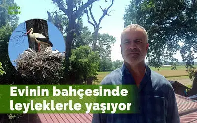 Evinin bahçesinde leyleklerle yaşıyor