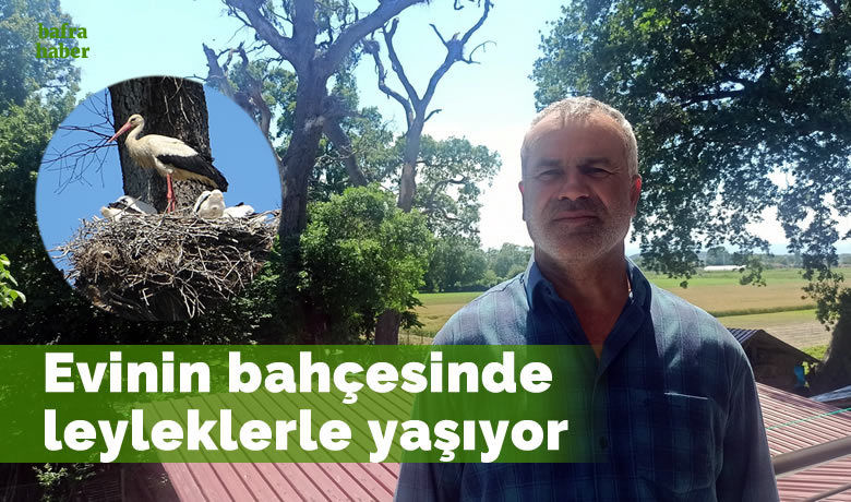 Evinin bahçesinde leyleklerle yaşıyor