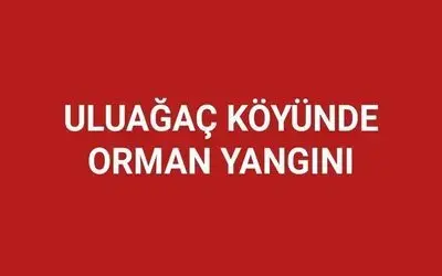 Uluağaç Köyünde Orman Yangını 