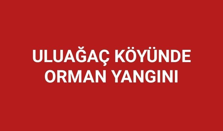 Uluağaç Köyünde Orman Yangını 