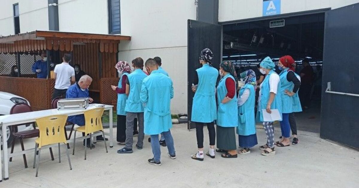 Bafra’da OSB’lerde çalışanlara aşı
