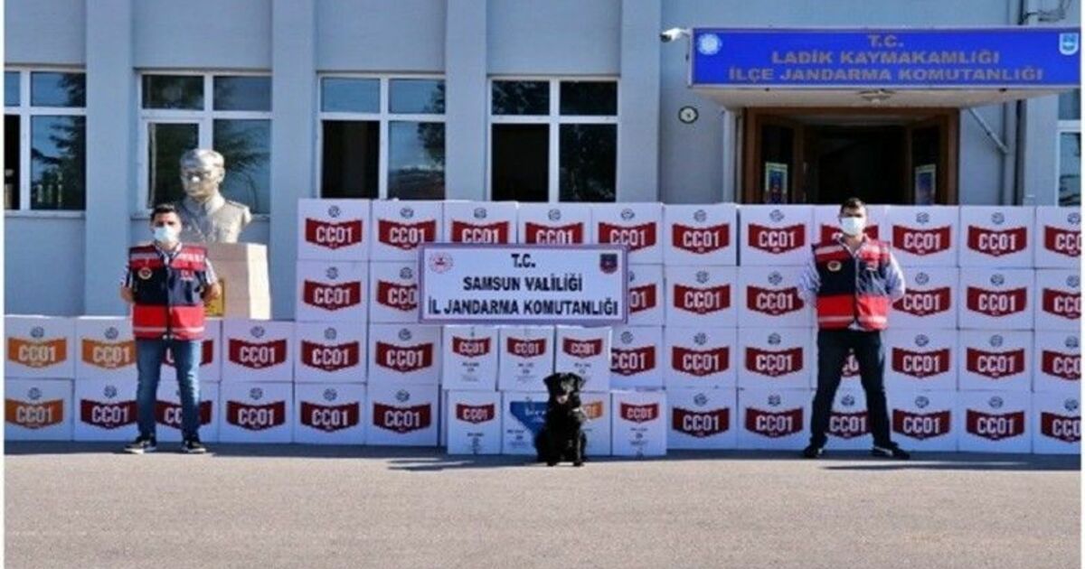 Samsun’da kaçak makaron operasyonu: 33 gözaltı
