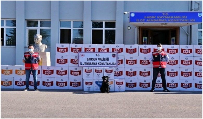 Samsun’da kaçak makaron operasyonu: 33 gözaltı
 - Samsun’da jandarma tarafından düzenlenen operasyonda 3 milyon 200 bin adet kaçak makaron ele geçirilirken, olayla ilgili 33 kişi gözaltına alındı.
