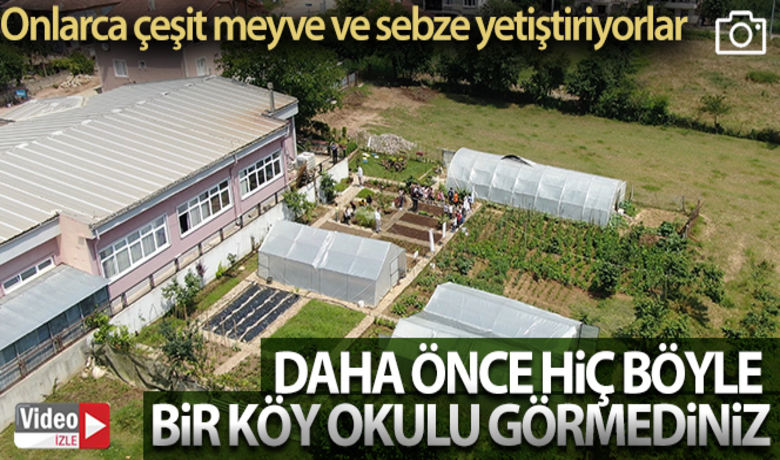 Daha önce hiç böyle bir köy okulu görmediniz - Kocaeli'nin İzmit ilçesinde bir köy okulunun bahçesi, 1 TL karşılığında tarım arazisine dönüştürüldü. Görenlerin hayran kaldığı hobi bahçesinde öğretmenler ve öğrenciler tarafından onlarca çeşit sebze ve meyve yetiştiriliyor.	HABERİN VİDEOSU İÇİN TIKLAYINIZ	Murat Kanber - Huriye Ferah Vanlı