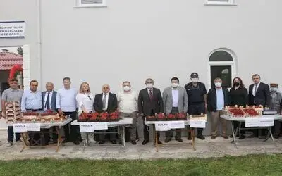 Samsun’da çilek üretimi yaygınlaşıyor
