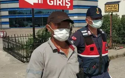 Samsun’da tarlaya ve demir yolu kenarına kenevir ekmeye gözaltı
