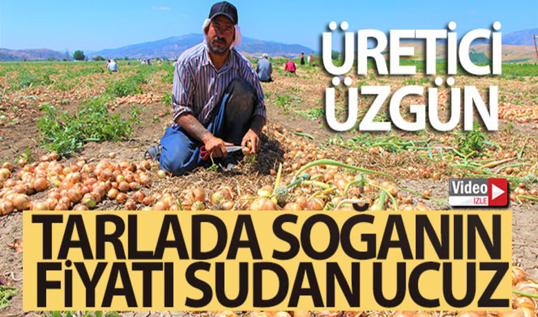 Tarlada soğanın fiyatı sudan ucuz - Türkiye’nin önemli soğan üretim merkezlerinden Amasya’da bu ürün tarlada sudan ucuza alıcı buluyor. 20 gün önce hasadına başlanan erkenci soğanın kilosu 60 ile 65 kuruşa satılıyor. Bu durum umutla ürün eken üreticiyi üzdü.	Yüzde 150 karla satıyorlar