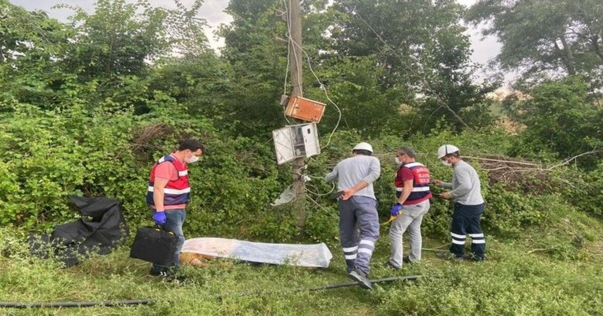 Elektrik akımına kapılan şahıs hayatını kaybetti
