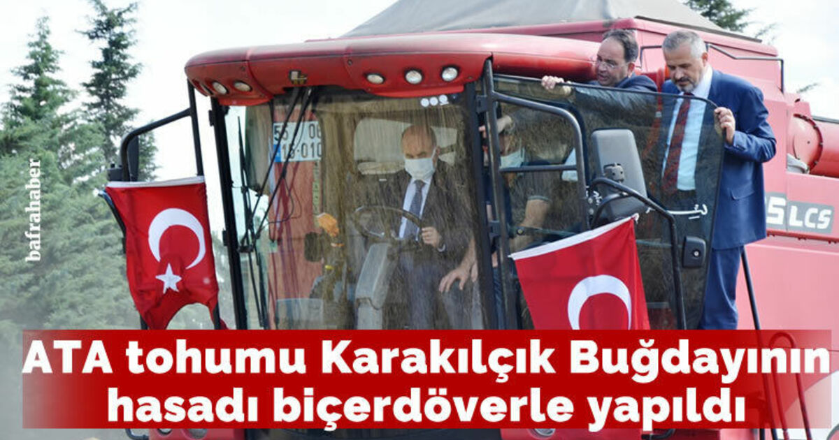 Vali biçerdöverle buğday hasadı yaptı