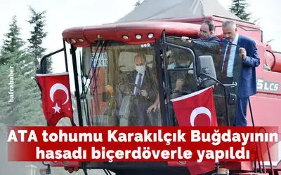 Vali biçerdöverle buğday hasadı yaptı