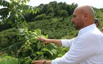 Tekkeköy’de ekili olmayan boş arazi kalmayacak
