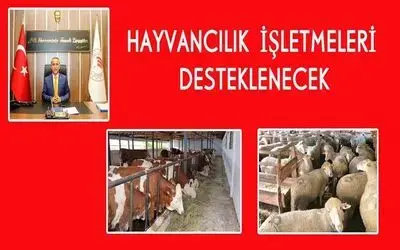Hayvancılık yatırım desteği başvuruları başladı
