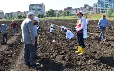 OMÜ’ye tıbbi-aromatik bitki bahçesi
