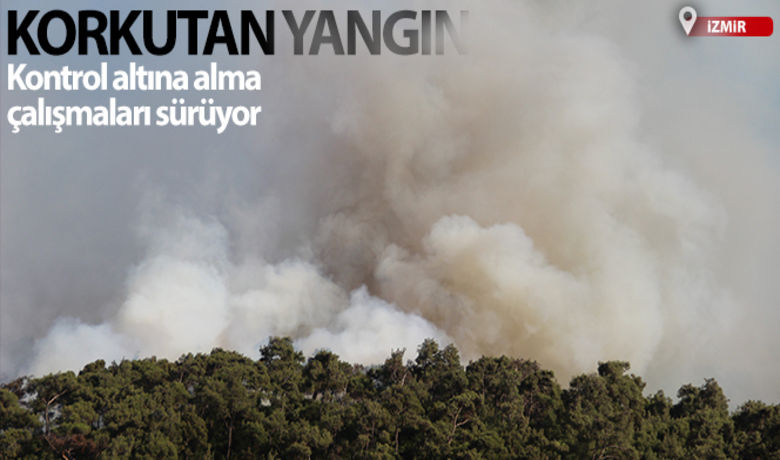 Foça'da yangını kontrolaltına alma çalışmaları sürüyor - İzmir'in Foça ilçesinde ormanlık alanda çıkan yangını kontrol etme çalışmaları sürüyor.Yangın, ilçeye bağlı Ilıpınar Mahallesi'nde bulunan ormanlık bir alanda henüz belirlenemeyen bir sebeple meydana geldi. Çam ağaçları ve makilik alanın bulunduğu kısmı etkisi altına alan yangın, şiddetli rüzgarın da etkisiyle büyüdü.